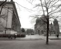 IMGP3243-a.jpg