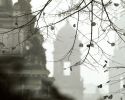 dd.158.17.silouette.jpg