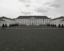 IMGP3313-a.jpg